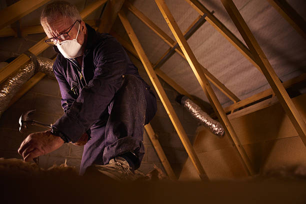 Best Home Insulation Services  in Upper Ack, NY